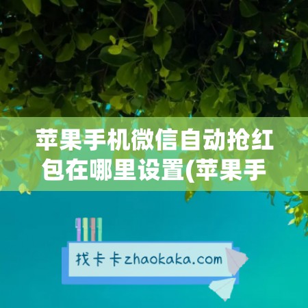 苹果手机微信自动抢红包在哪里设置(苹果手机微信收信息延迟怎么解决)