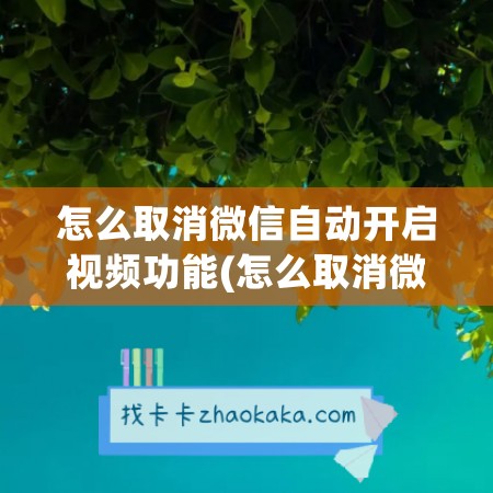 怎么取消微信自动开启视频功能(怎么取消微信视频号的点赞)