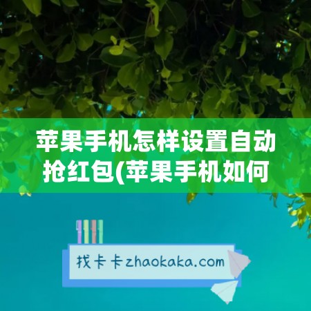 苹果手机怎样设置自动抢红包(苹果手机如何设置红包自动抢)