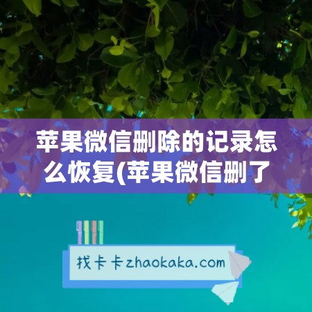 苹果微信删除的记录怎么恢复(苹果微信删了重新下载聊天记录怎么恢复)