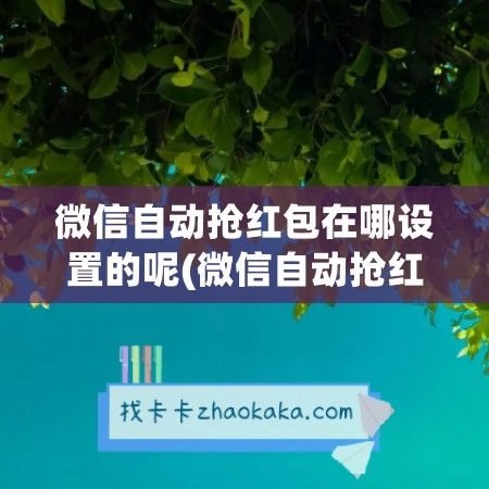 微信自动抢红包在哪设置的呢(微信自动抢红包神器)