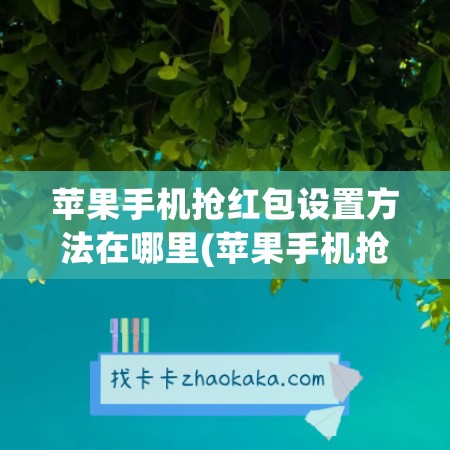 苹果手机抢红包设置方法在哪里(苹果手机抢红包提醒怎么设置)