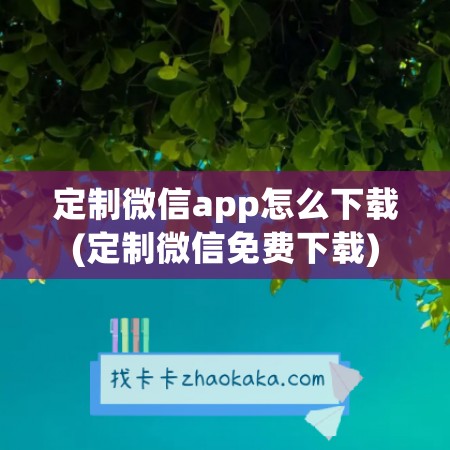 定制微信app怎么下载(定制微信免费下载)