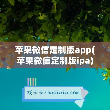 苹果微信定制版app(苹果微信定制版ipa)