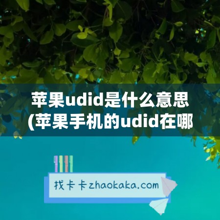 苹果udid是什么意思(苹果手机的udid在哪里查看)