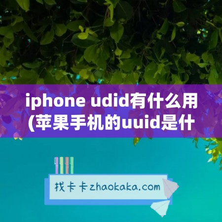 iphone udid有什么用(苹果手机的uuid是什么)