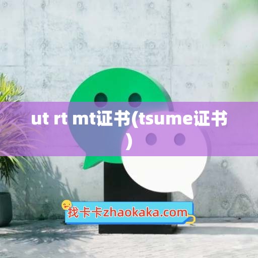 ut rt mt证书(tsume证书)