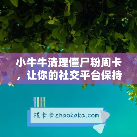 小牛牛清理僵尸粉周卡，让你的社交平台保持清爽