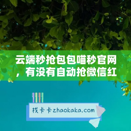 云端秒抢包包喵秒官网，有没有自动抢微信红包软件啊视频