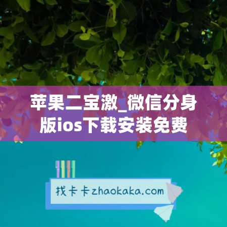 苹果二宝激_微信分身版ios下载安装免费