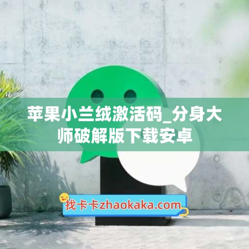 苹果小兰绒激活码_分身大师破解版下载安卓