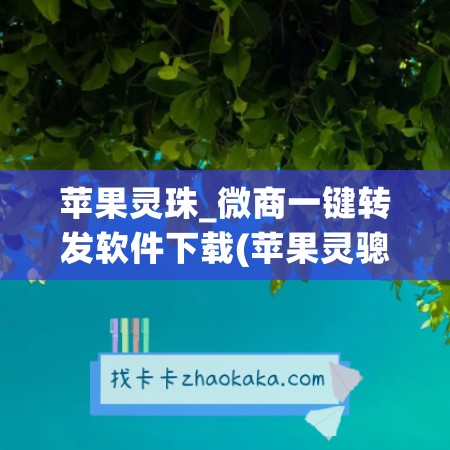 苹果灵珠_微商一键转发软件下载(苹果灵骢)