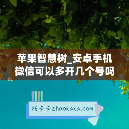 苹果智慧树_安卓手机微信可以多开几个号吗