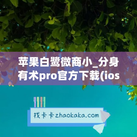 苹果白鹭微商小_分身有术pro官方下载(ios分身7.0.2版本)