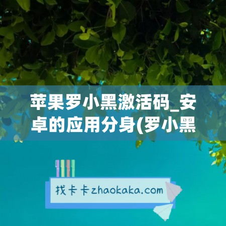 苹果罗小黑激活码_安卓的应用分身(罗小黑兑换码)