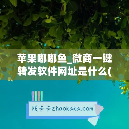 苹果嘟嘟鱼_微商一键转发软件网址是什么(嘟嘟平台官网是干嘛的)