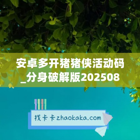 安卓多开猪猪侠活动码_分身破解版202508