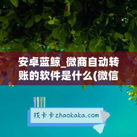 安卓蓝鲸_微商自动转账的软件是什么(微信商户自动转账)