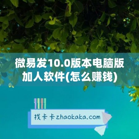 微易发10.0版本电脑版加人软件(怎么赚钱)