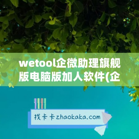 wetool企微助理旗舰版电脑版加人软件(企微加下载)