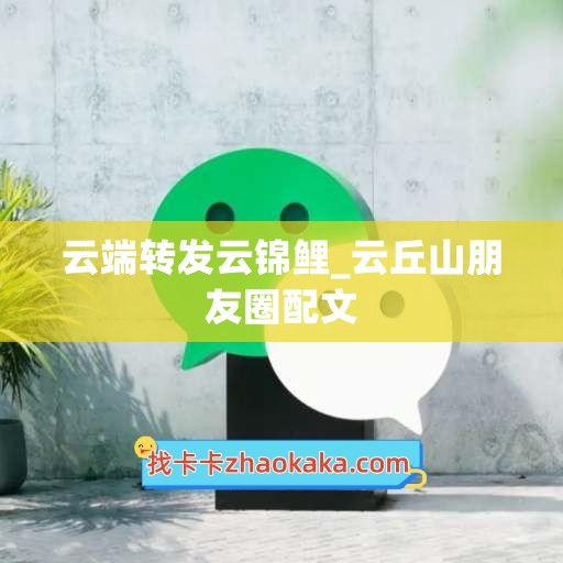 云端转发云锦鲤_云丘山朋友圈配文