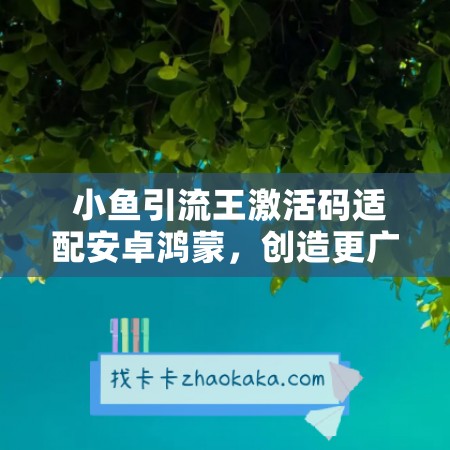  小鱼引流王激活码适配安卓鸿蒙，创造更广阔流量美好未来