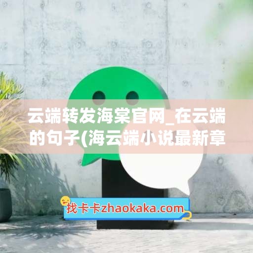 云端转发海棠官网_在云端的句子(海云端小说最新章节)