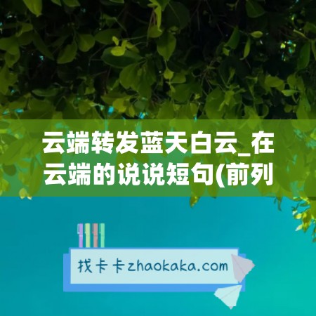 云端转发蓝天白云_在云端的说说短句(前列康胶囊和片剂)