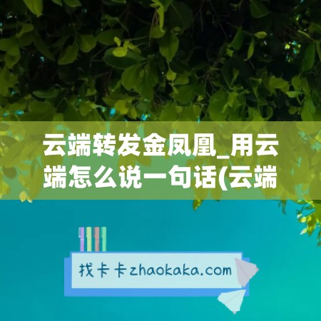 云端转发金凤凰_用云端怎么说一句话(云端分享)