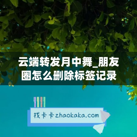 云端转发月中舞_朋友圈怎么删除标签记录