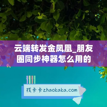 云端转发金凤凰_朋友圈同步神器怎么用的