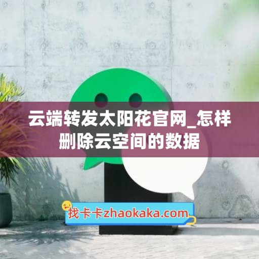 云端转发太阳花官网_怎样删除云空间的数据