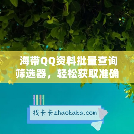  海带QQ资料批量查询筛选器，轻松获取准确信息！
