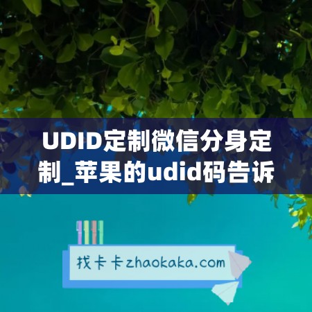 UDID定制微信分身定制_苹果的udid码告诉别人会有危险吗