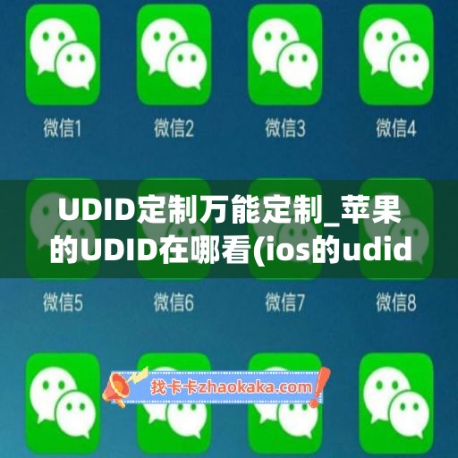 UDID定制万能定制_苹果的UDID在哪看(ios的udid在哪)