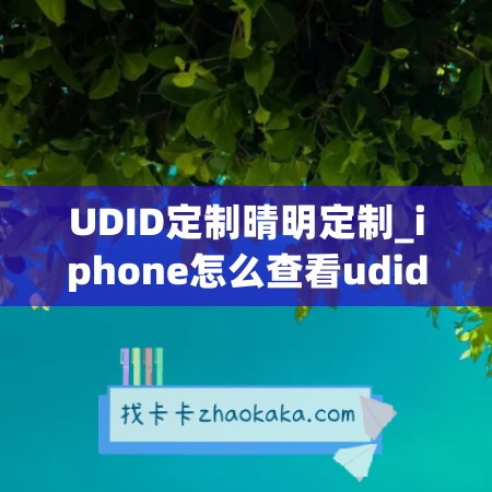 UDID定制晴明定制_iphone怎么查看udid