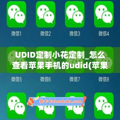 UDID定制小花定制_怎么查看苹果手机的udid(苹果udid在哪看)