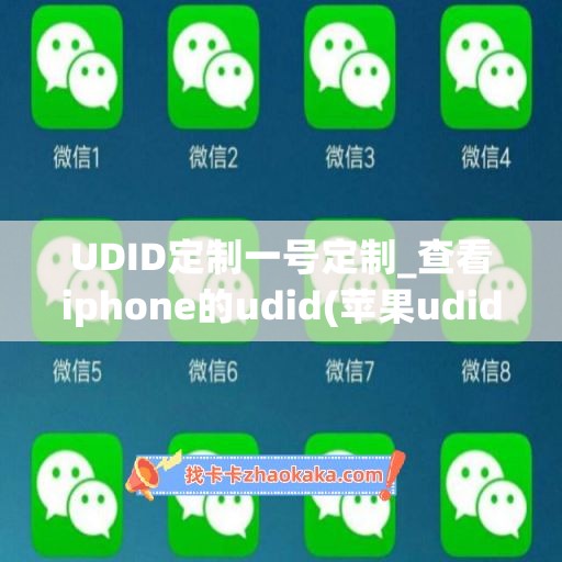 UDID定制一号定制_查看iphone的udid(苹果udid定制软件稳定吗)