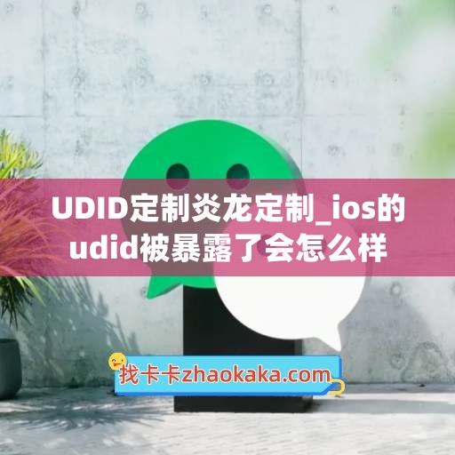 UDID定制炎龙定制_ios的udid被暴露了会怎么样