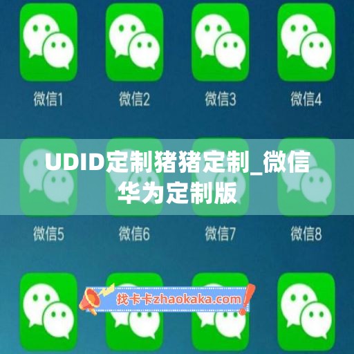 UDID定制猪猪定制_微信华为定制版