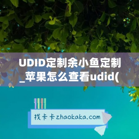 UDID定制余小鱼定制_苹果怎么查看udid(iphone手机udid怎么看)