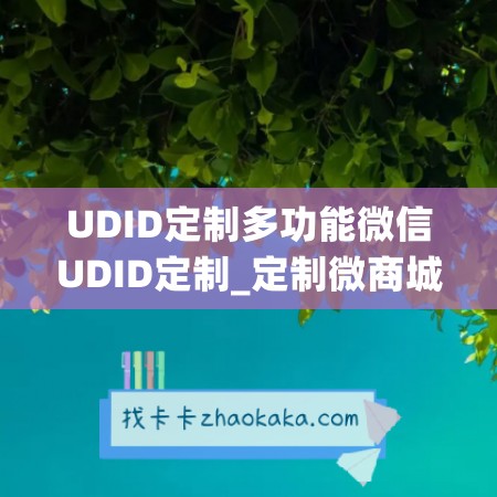 UDID定制多功能微信UDID定制_定制微商城要多少钱(udid定制软件可以用多久)