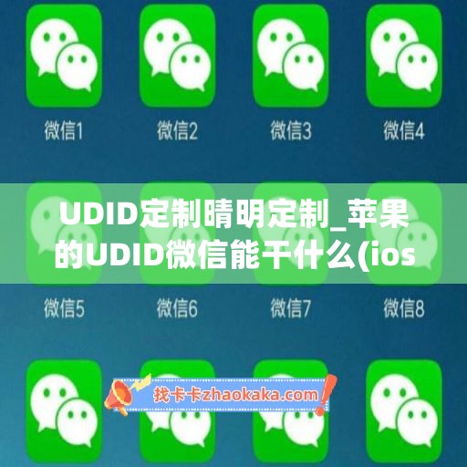 UDID定制晴明定制_苹果的UDID微信能干什么(ios的udid有什么用)