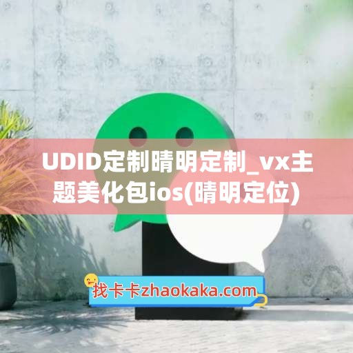 UDID定制晴明定制_vx主题美化包ios(晴明定位)