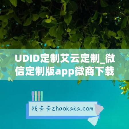 UDID定制艾云定制_微信定制版app微商下载