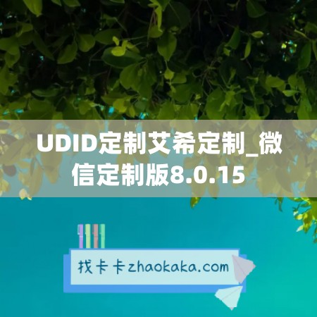 UDID定制艾希定制_微信定制版8.0.15