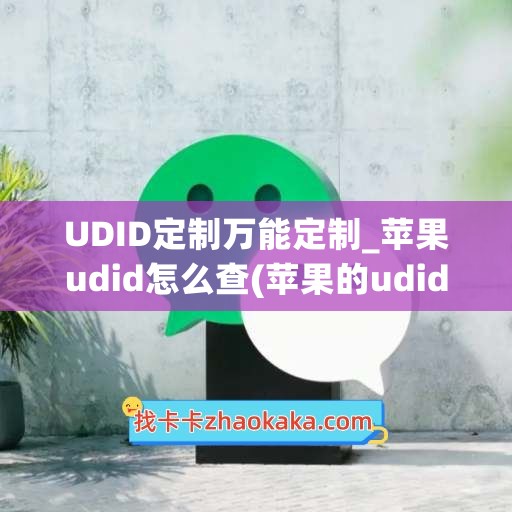 UDID定制万能定制_苹果udid怎么查(苹果的udid怎么查看)