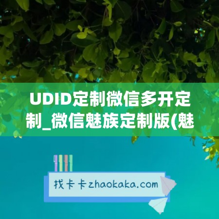 UDID定制微信多开定制_微信魅族定制版(魅族16th plus微信分身)