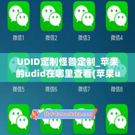 UDID定制怪兽定制_苹果的udid在哪里查看(苹果udid定制软件稳定吗)