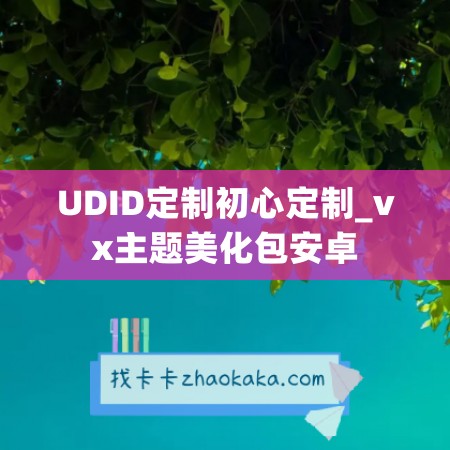 UDID定制初心定制_vx主题美化包安卓